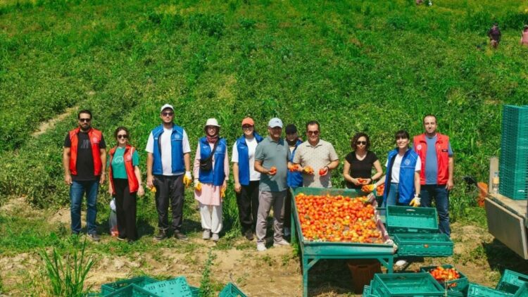 Gönüllü Hasat Etkinliği 20026 takvimi açıklandı