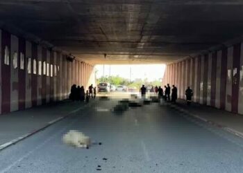 Hatay'da otomobilin çarptığı sürüdeki 17 koyun öldü