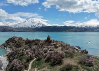 Badem ağaçlarının çiçekleriyle güzelleşen Akdamar Adası'nda turist yoğunluğu