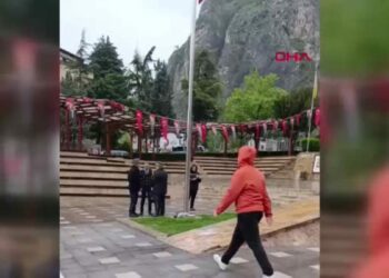 Ortaokul öğrencisi Çınar, bayrakları tek tek düzelti
