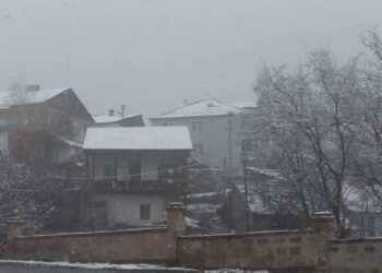Posof'ta kar yağışı etkili oldu