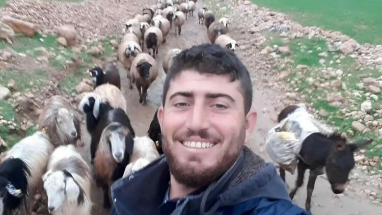 Mardin'de çobanın öldürüldüğü silahlı saldırıya ilişkin 5 tutuklama