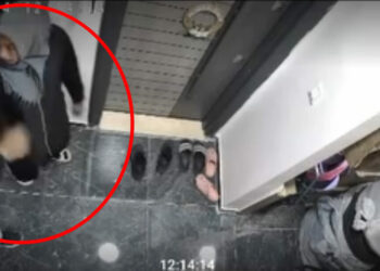 Ayakkabıyı koklayıp, kartla kapıyı açmaya çalıştılar