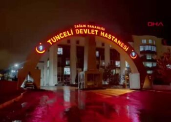 Gülistan Doku soruşturmasında Tunceli Devlet Hastanesi'nin 2 personeli gözaltına alındı