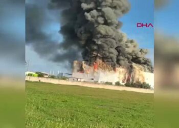 Manavgat'ta iş yerinde yangın