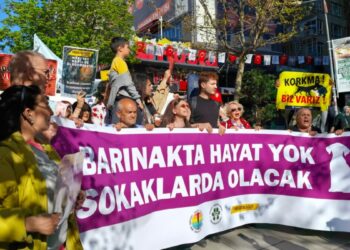 Ankara'da hayvanseverlerden yürüyüş