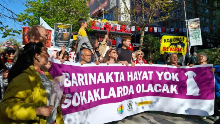 Ankara'da hayvanseverlerden yürüyüş