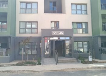 Adıyaman'da parçalanmış halde yavru kedi bulundu