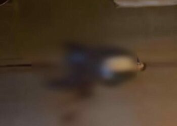 Zeytinburnu'nda sokak ortasında silahla vurulan kişi ağır yaralandı