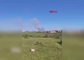 Beykoz'da orman yangını -1