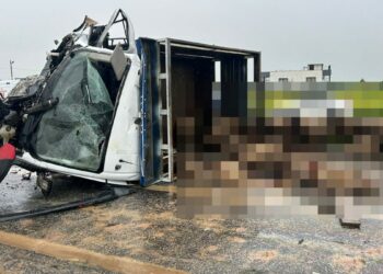 Siirt’te koyun yüklü kamyonet ile otomobil çarpıştı: 2 ölü, 3 yaralı