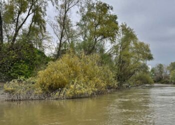 Nehre düşen 10 yaşındaki Ahmet'ten 7 gündür bir iz yok