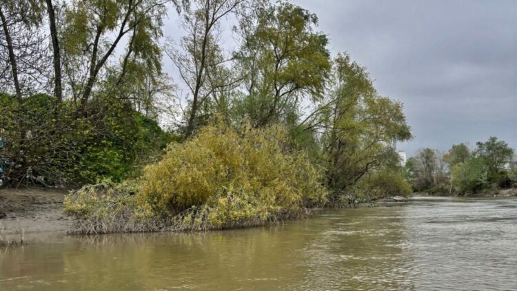 Nehre düşen 10 yaşındaki Ahmet'ten 7 gündür bir iz yok