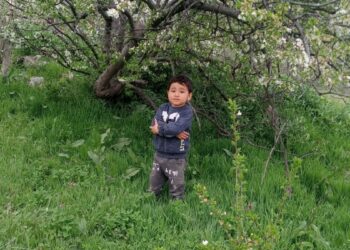 Kamyonet çarpması sonucu ölen Yakup Can'ın dedesi: Babaannesine koşuyordu