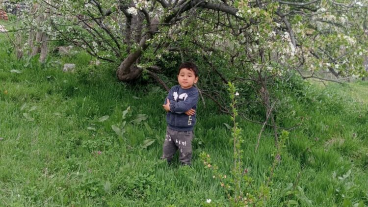 Kamyonet çarpması sonucu ölen Yakup Can'ın dedesi: Babaannesine koşuyordu