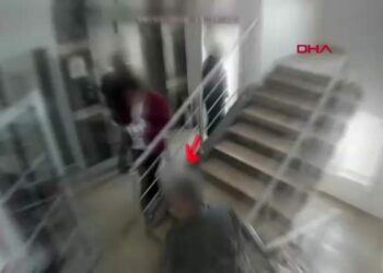 Sahte vekaletle gayrimenkul satışı yapan 14 şüpheli yakalandı