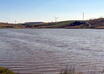 Tekirdağ'da gölette toplu balık ölümlerine inceleme