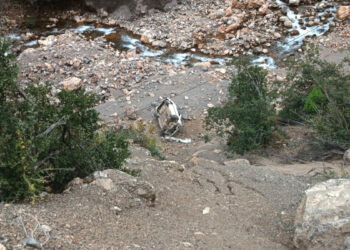 Gaziantep’te dereye düşen otomobilin sürücüsü yaralandı