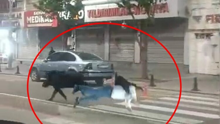 Kent merkezine inen yaban domuzu, 3 kişiyi yaraladı