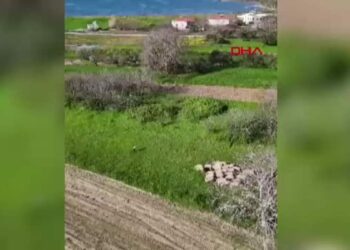 'Boğazın Minik Çobanları' geleceği şekillendiriyor