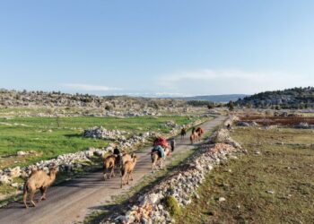 Yörüklerin yayla göçü başladı