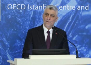 Bakan Bolat OECD 'Kritik Mineraller Forumu'nda konuştu