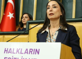 DEM Parti'li Hatimoğulları: Barış gemisini limana ulaştıracağız