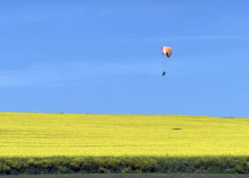 Sarı renge bürünen kanola tarlası üzerinde paramotorla uçtu