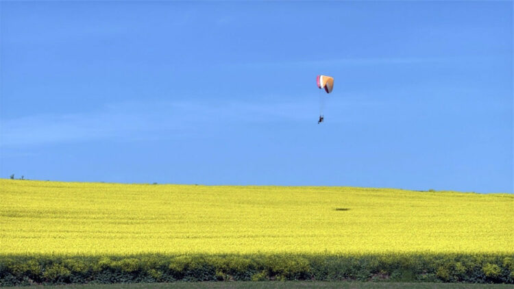 Sarı renge bürünen kanola tarlası üzerinde paramotorla uçtu