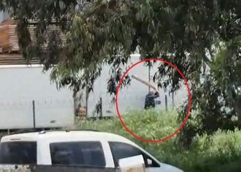 Tavuklarını yediği gerekçesiyle sokak köpeğini sopayla döven kişi gözaltında