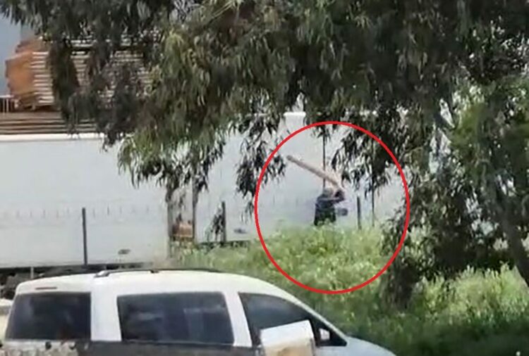 Tavuklarını yediği gerekçesiyle sokak köpeğini sopayla döven kişi gözaltında