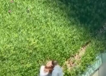 Maltepe’de tartıştığı kadını sokak ortasında yumruklayarak darbetti