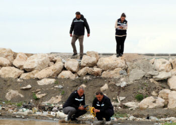 İnci kefalinin üreme göçüne sıkı takip