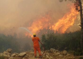Antalya'da orman yangınlarını önleme planı; 125 hassas nokta belirlendi