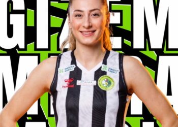 Manisa filesinde pasör takviyesi