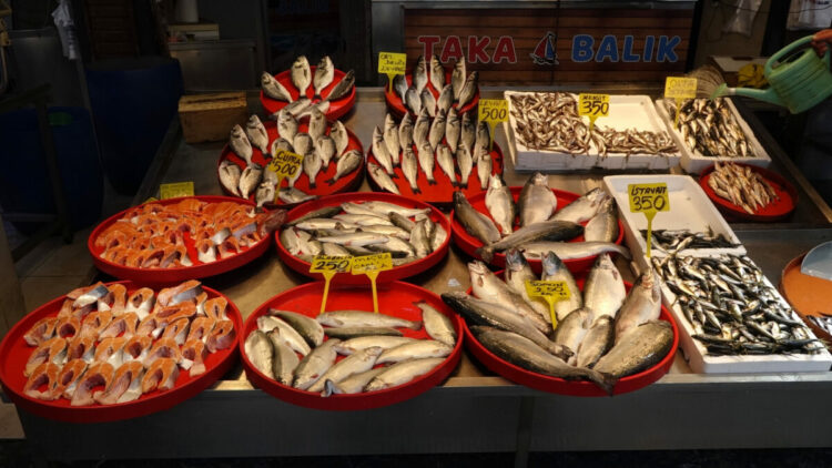 Av yasağında kültür balıklarına rağbet