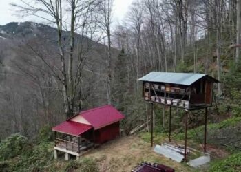 Ayının, demir direğe tırmanıp kovanlara ulaşmaya çalıştığı anlar kamerada