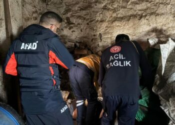 Kayıp olarak aranan kadın ahırda ölü bulundu, damadı gözaltına alındı