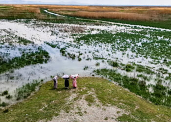 Akşehir Gölü, 8 yıllık kuraklık sonrası canlanıyor