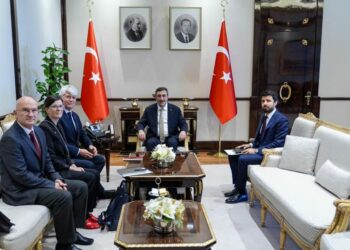 Cumhurbaşkanı Yardımcısı Yılmaz, İsviçre Büyükelçisi Scheurer'i kabul etti