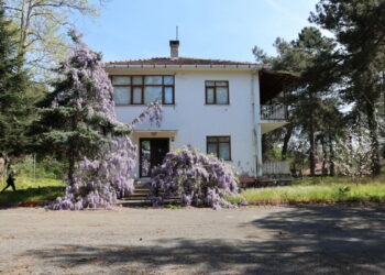 Filozof Teoman Duralı Müzesi projesi için inceleme yapıldı