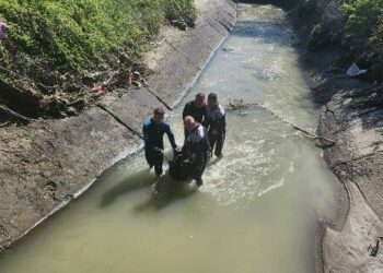 Sulama kanalında ölü bulundu