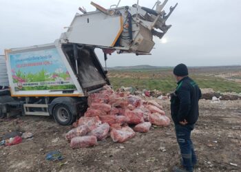 Uygunsuz koşullarda taşınan 1,6 ton sakatat imha edildi