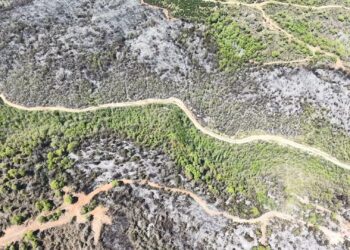 Beykoz'da orman yangını; zarar gören alan havadan görüntülendi