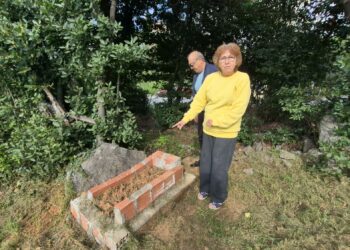 11 yıldır yurt dışında baktıkları köpekleri Zonguldak'ta otomobil çarpması ile öldü; mezar yaptırdılar