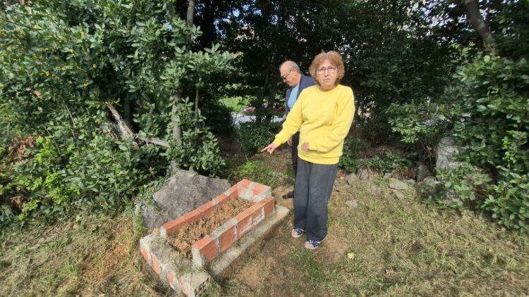 11 yıldır yurt dışında baktıkları köpekleri Zonguldak'ta otomobil çarpması ile öldü; mezar yaptırdılar