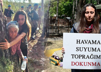 Milas’ta Akbelen protestosu: Esra Işık tutuklandı