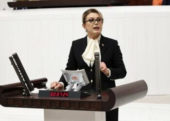 Asu Kaya, Esma Kılıçarslan dosyasındaki karanlığı Meclis'e taşıdı; Kayıp DNA örnekleri kime ait?