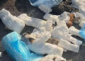 33 kedinin ölü bulunmasına ilişkin veteriner hekimin serbest bırakılmasına itiraz