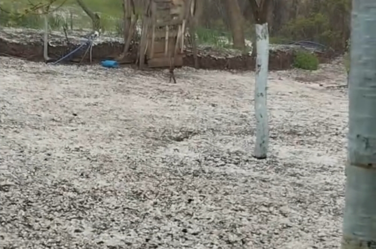 Amasya’da dolu yağışı